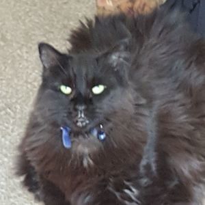 Meet your Posher, Rodney